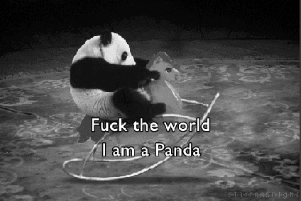 fuck-the-world-im-a-panda